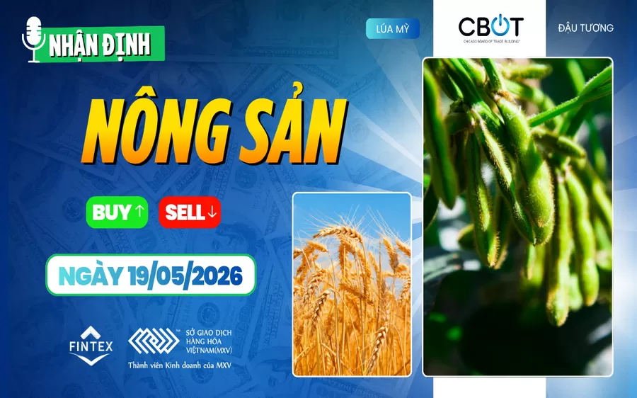 NHẬN ĐỊNH THỊ TRƯỜNG NÔNG SẢN NGÀY 19/05/2026